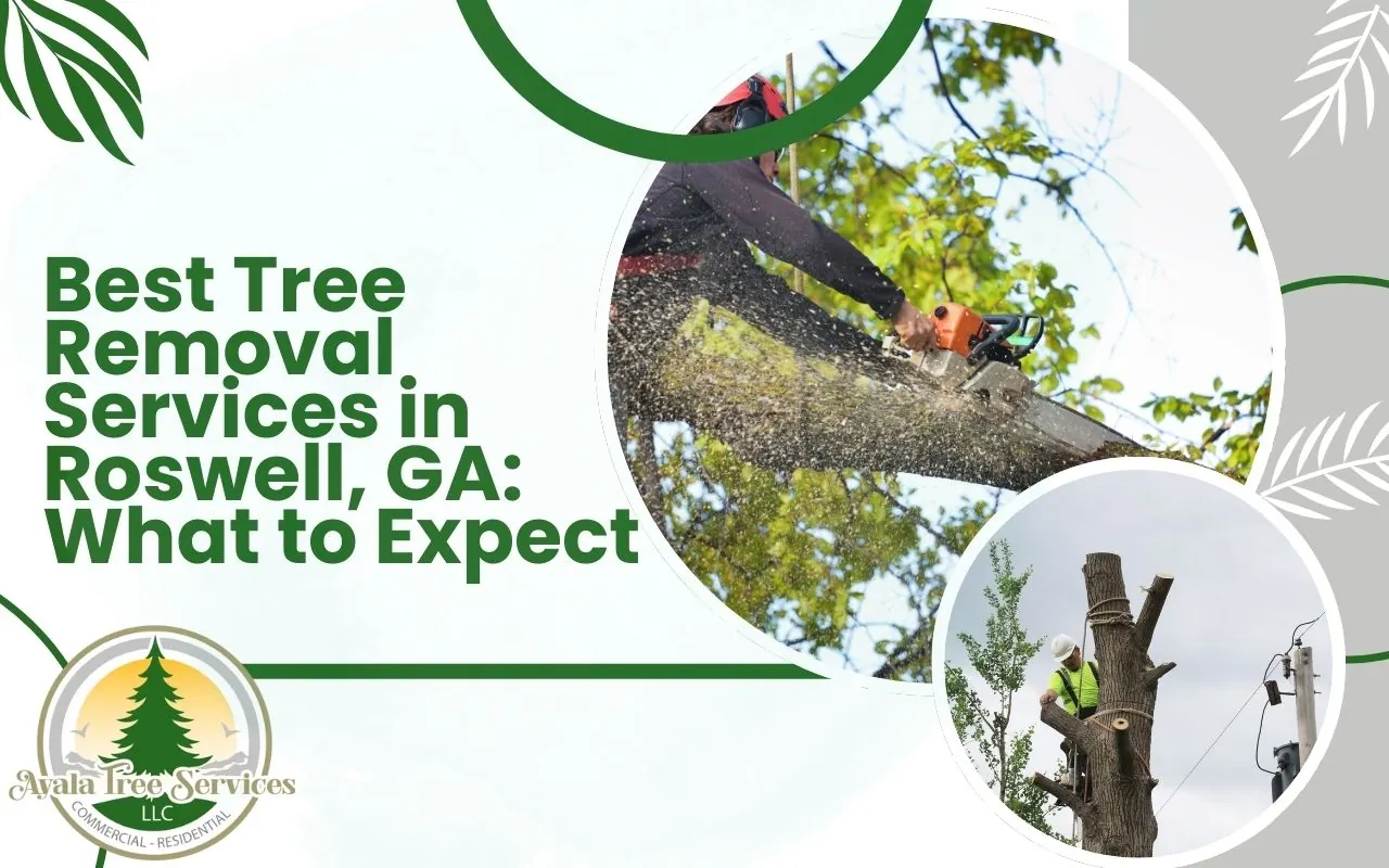 Affordable tree removal services in Roswell.