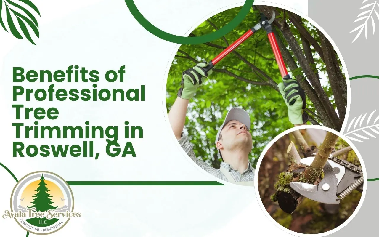 Benefits of professional tree trimming in Roswell, GA for improved tree health.