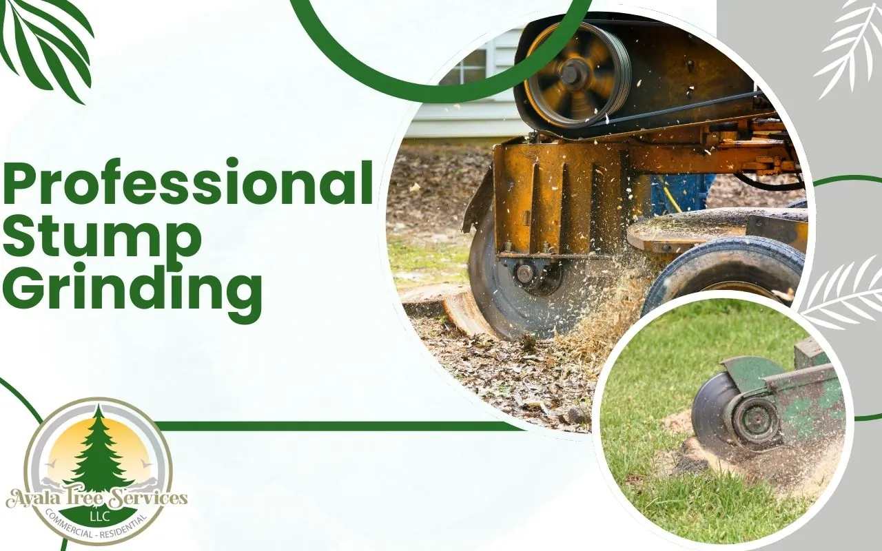 Professional Stump Grinding Service for a Safe Yard