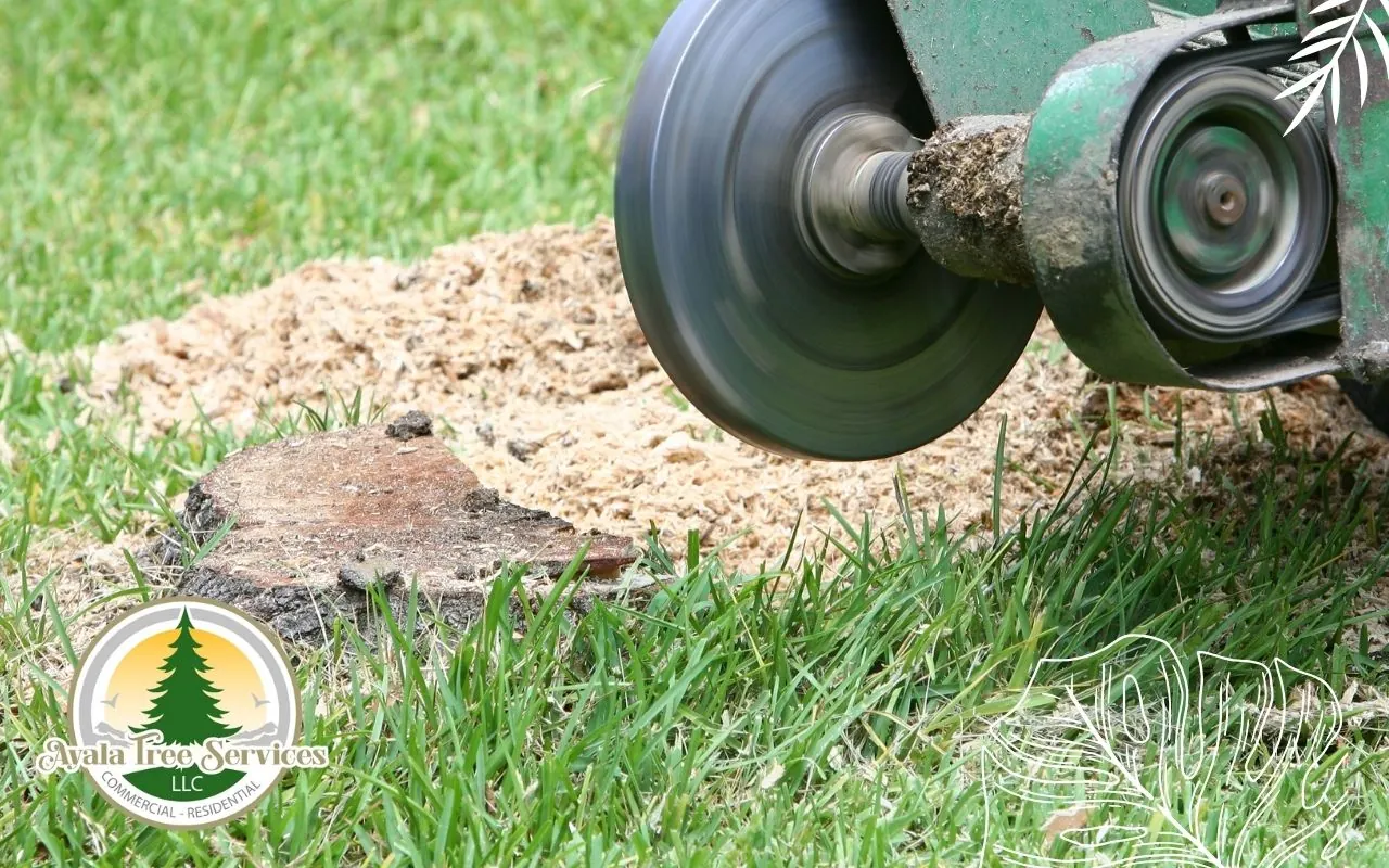 Professional Stump Grinding for Safe Landscaping