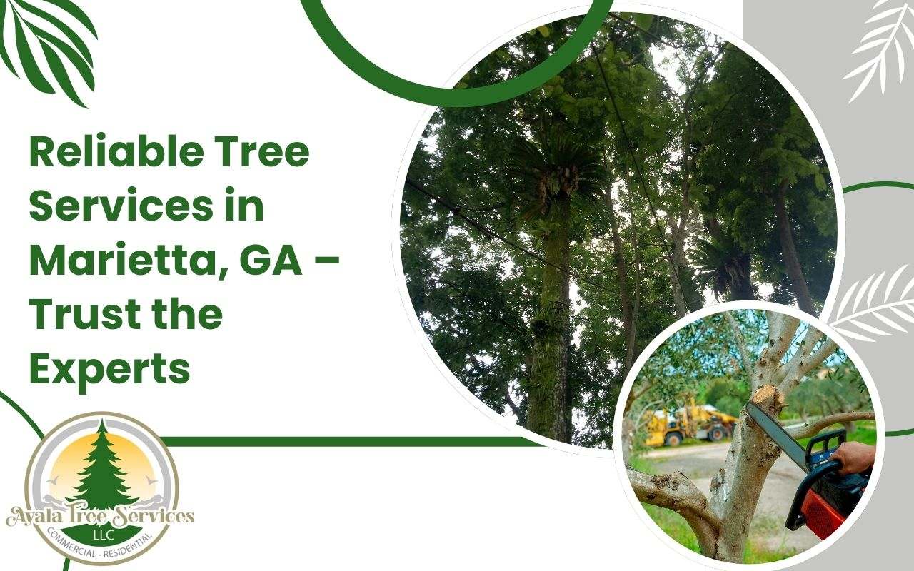 Reliable Tree Services in Marietta, GA