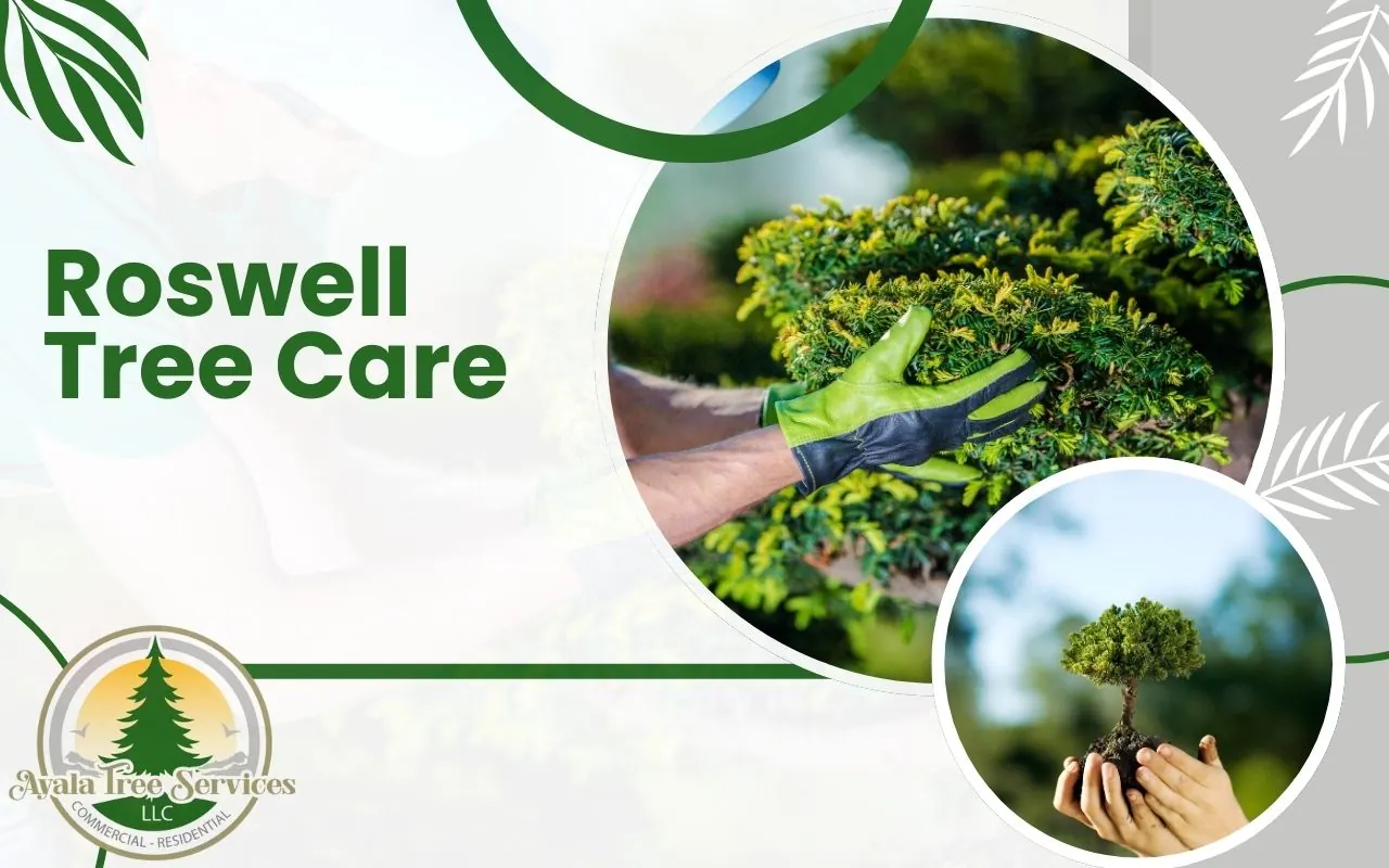 Professional Roswell Tree Care Services