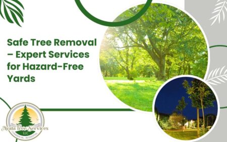 Safe Tree Removal – Expert Services for Hazard-Free Yards