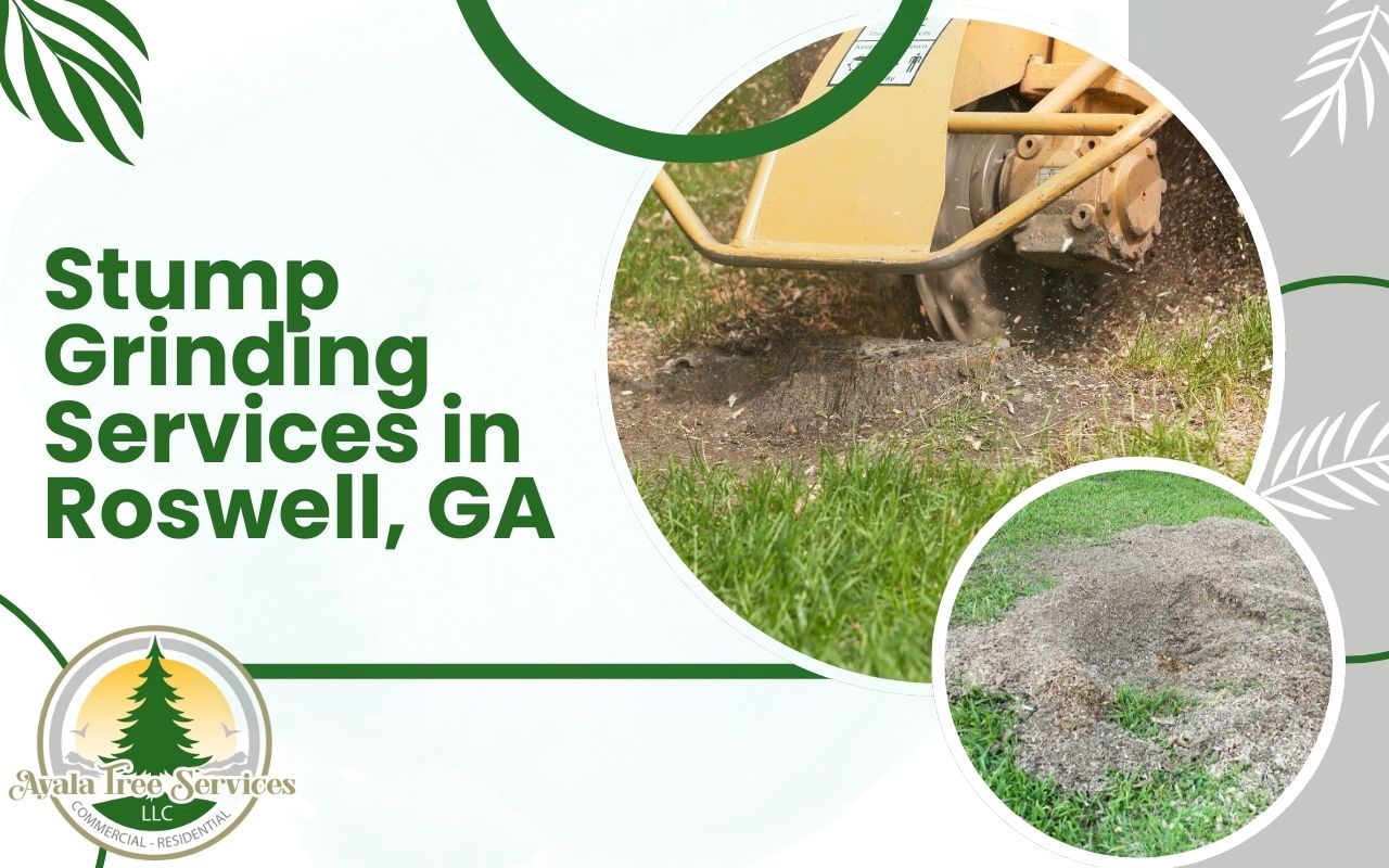 Stump Grinding Services in Roswell, GA