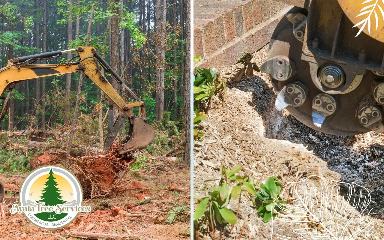 Stump Removal and Grinding in Roswell