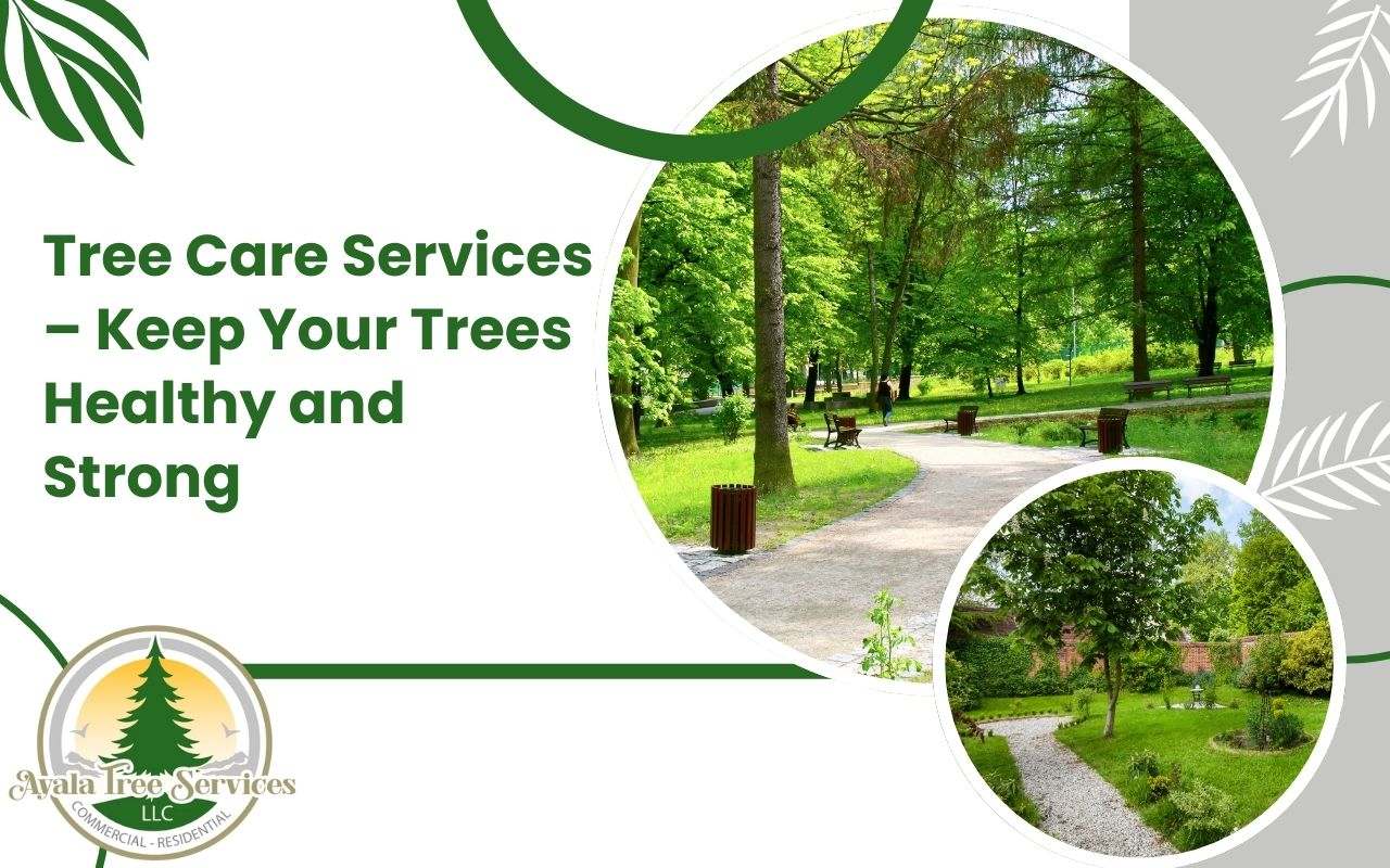 Professional tree care services