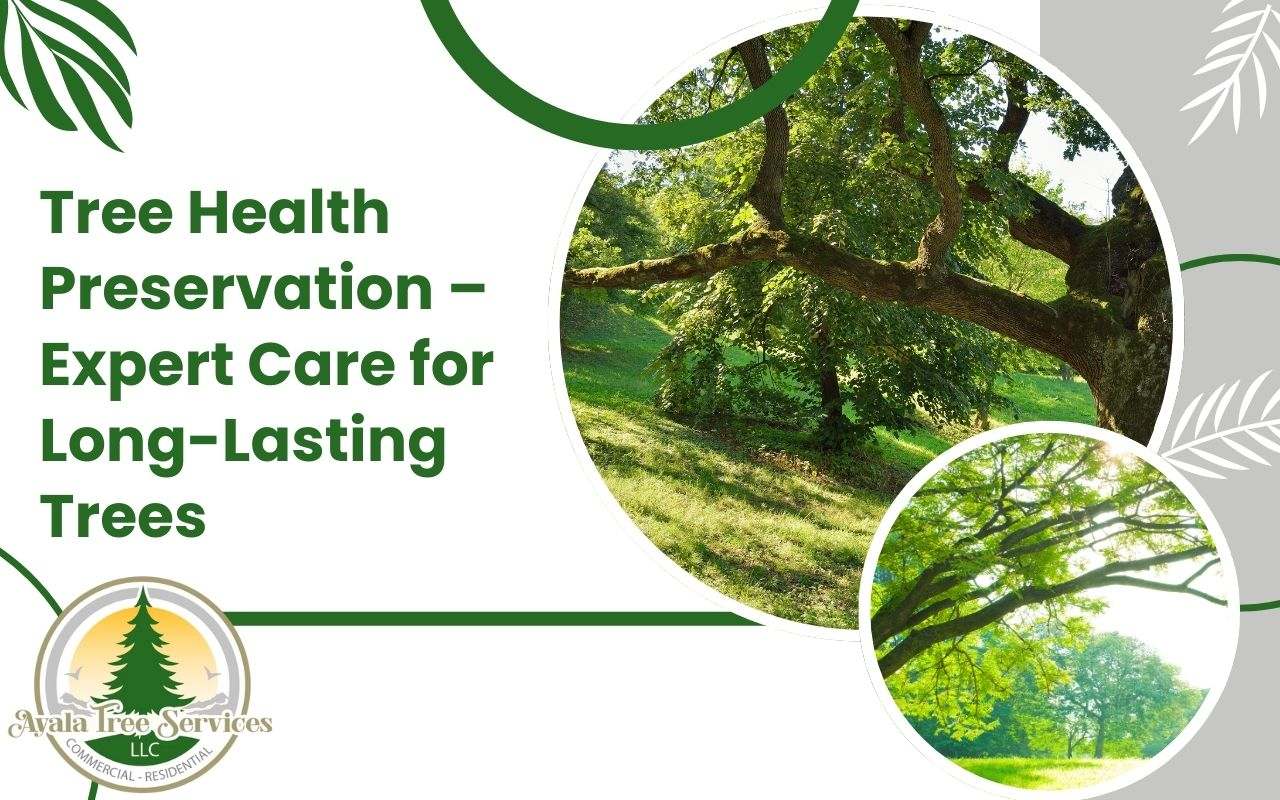 Tree Health Preservation