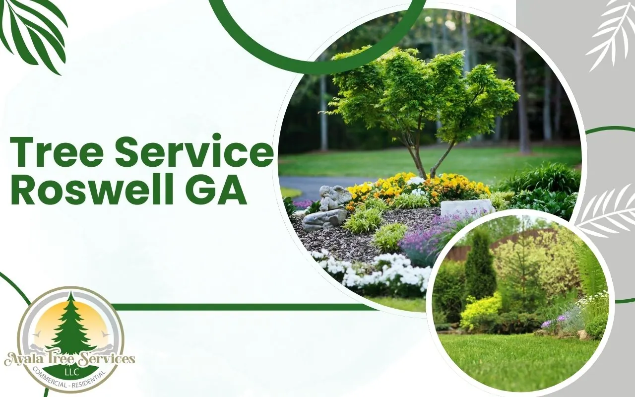 Professional Tree Service in Roswell, GA