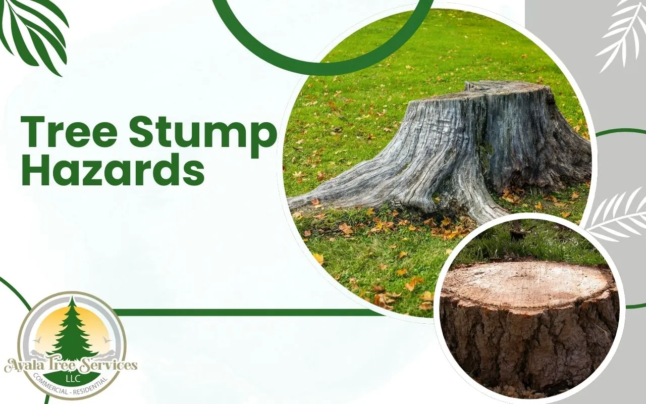 Common Tree Stump Hazards in Your Yard