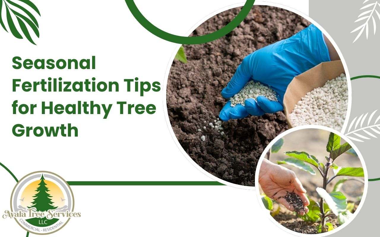 Seasonal fertilization tips for promoting tree health.