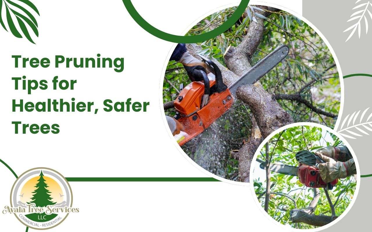 Tree pruning tips for promoting health and safety