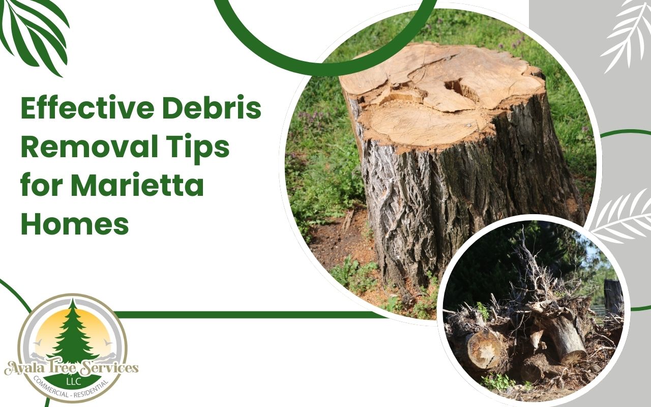 Effective debris removal tips for homes in Marietta.