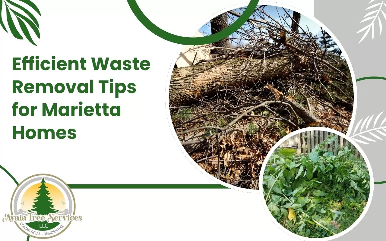 Efficient waste removal tips for homes in Marietta.