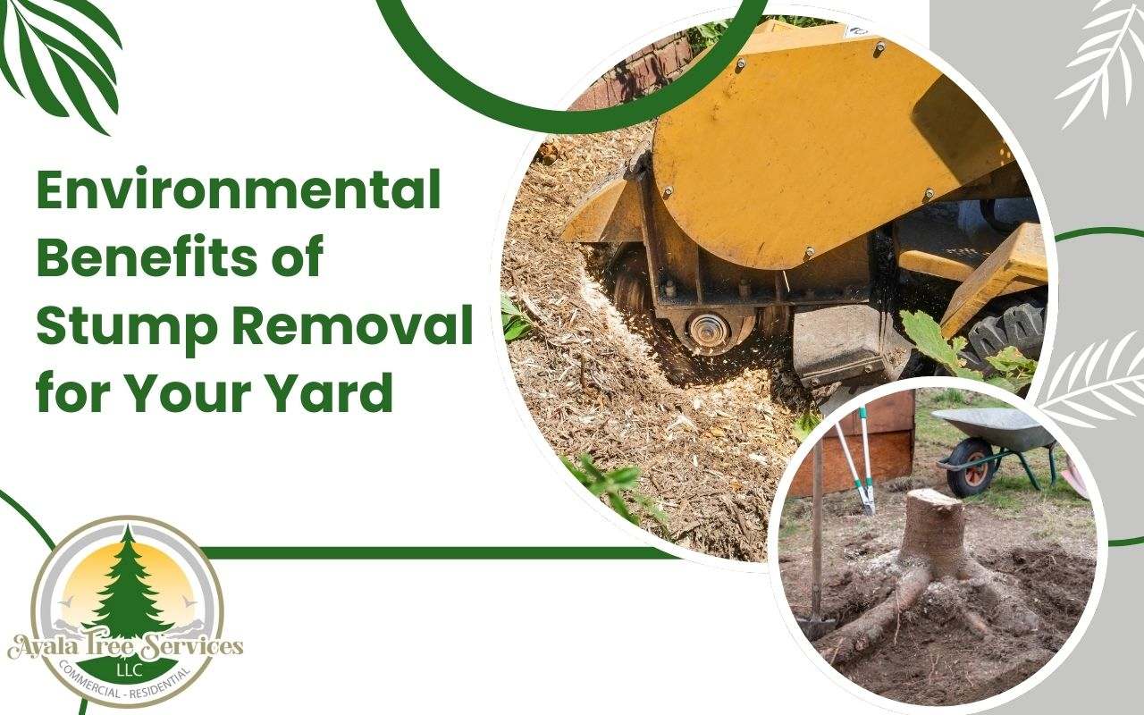 Environmental benefits of stump removal for a healthier yard.