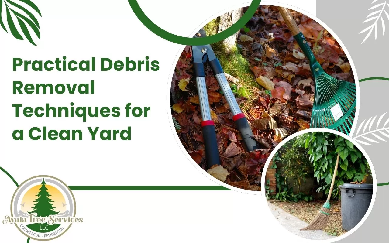 Practical debris removal techniques for yard and home cleanup.