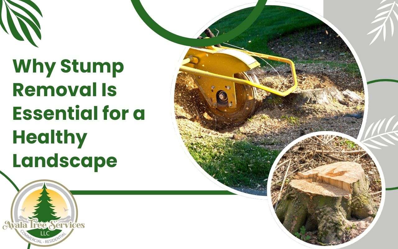 Professional stump grinding services for a safer, beautiful yard.