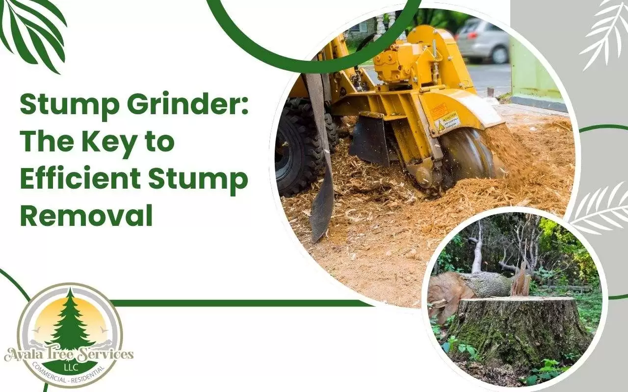 A stump grinder being used to efficiently remove a tree stump.