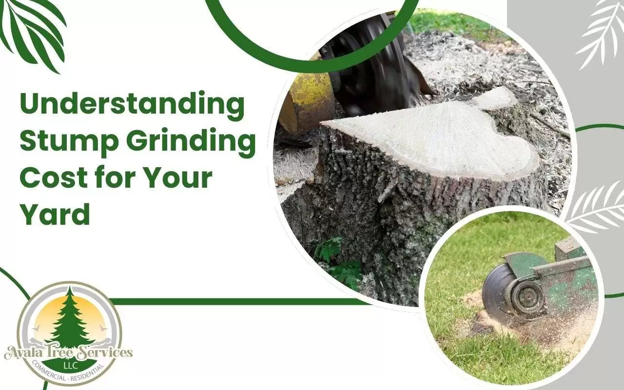 Guide to stump grinding cost factors for professional removal.