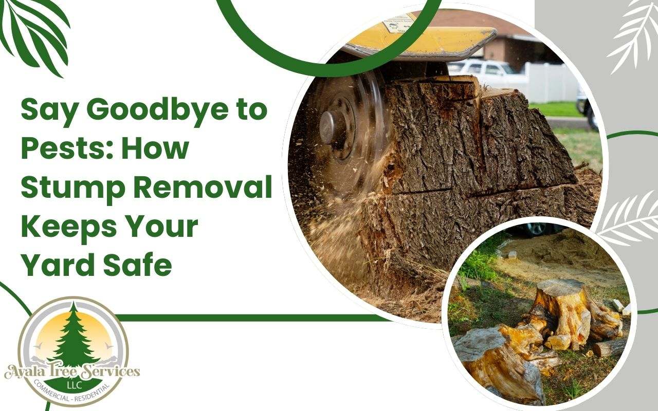 Removing tree stumps helps prevent pest infestations in your yard.