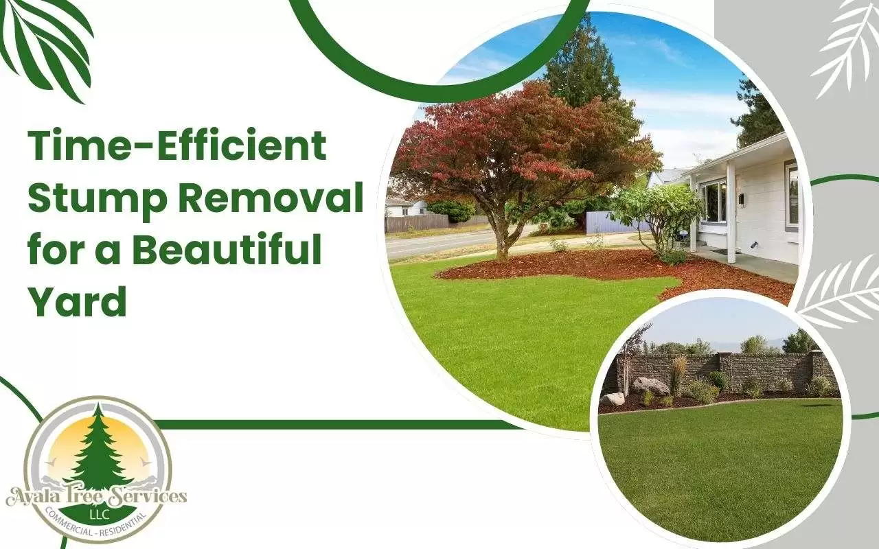 Time-efficient stump removal services for a clean, safe yard.