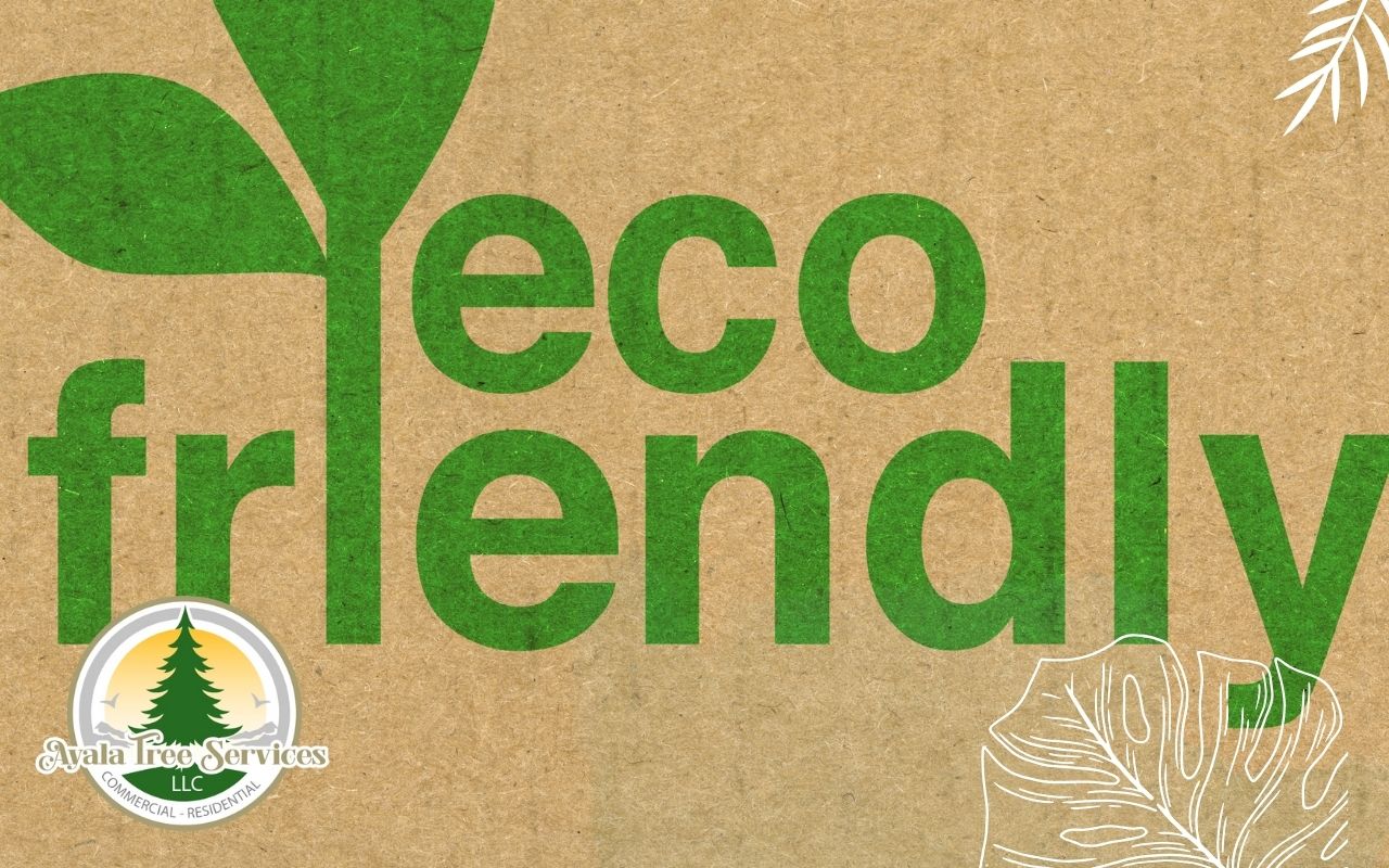 Eco-friendly waste removal practices for Marietta homes.