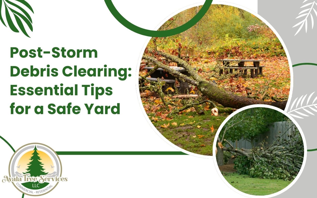 Post-storm debris clearing tips for a clean and safe yard.