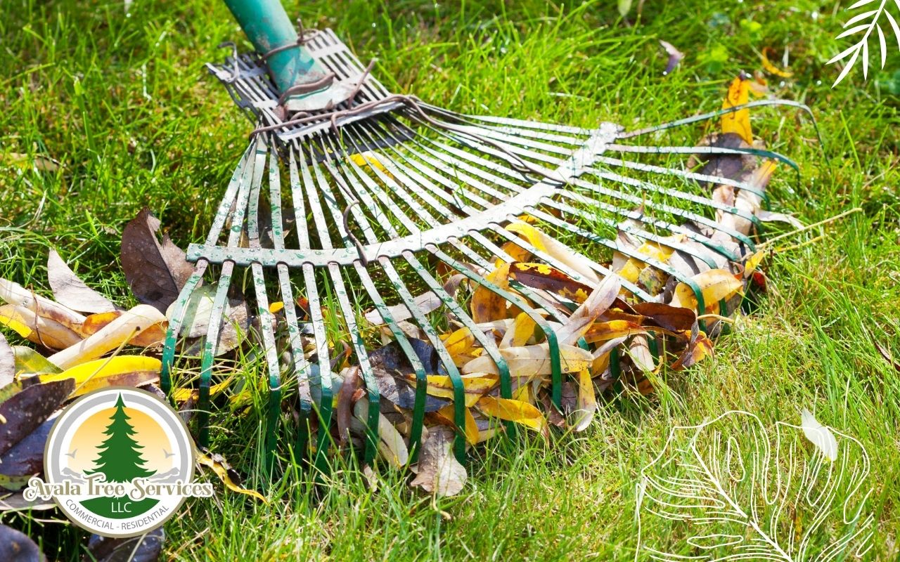 Seasonal yard waste removal, including leaves and branches.