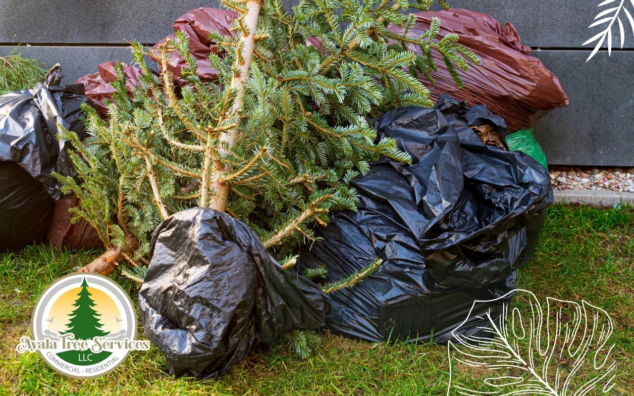 Sorting waste for safe and effective debris disposal.