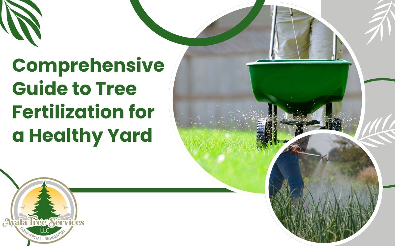 Effective tree fertilization methods for healthy growth.