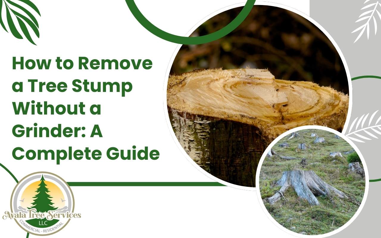 Manual tree stump removal using tools