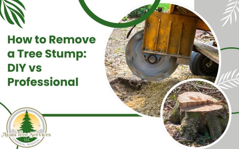 How to Remove a Tree Stump: Guide