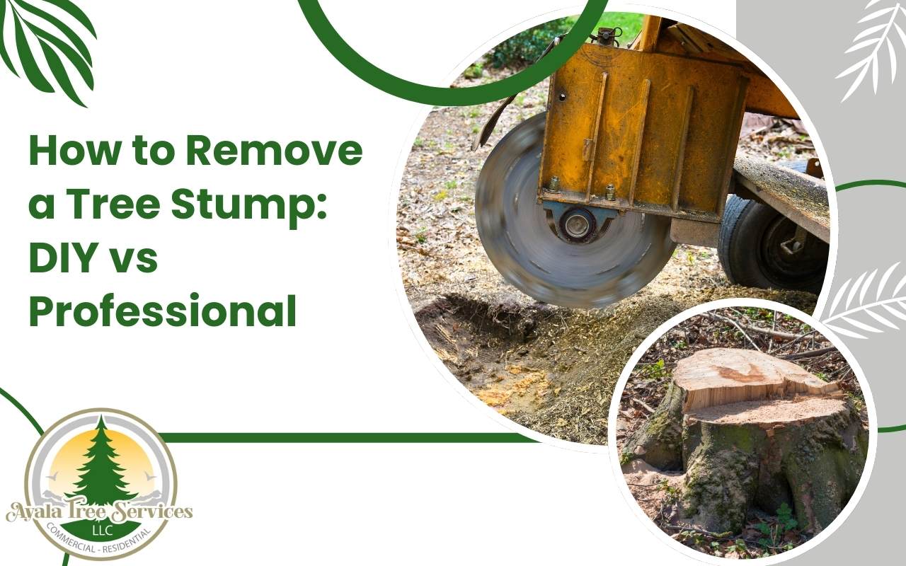 Different tree stump removal methods including grinding and burning