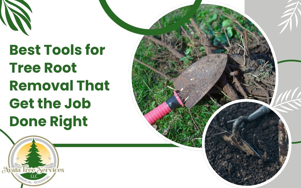 Shovel, mattock, and root saw laid out for manual root removal