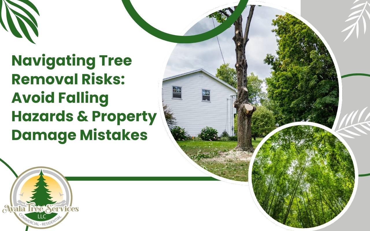 Falling hazards during tree removal and precautions to protect property and people in Marietta