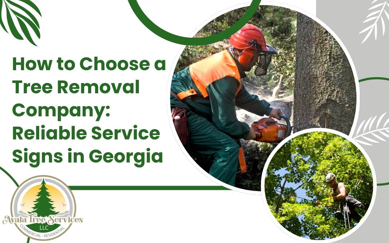 Professional tree removal equipment being used safely in a Georgia residential yard.
