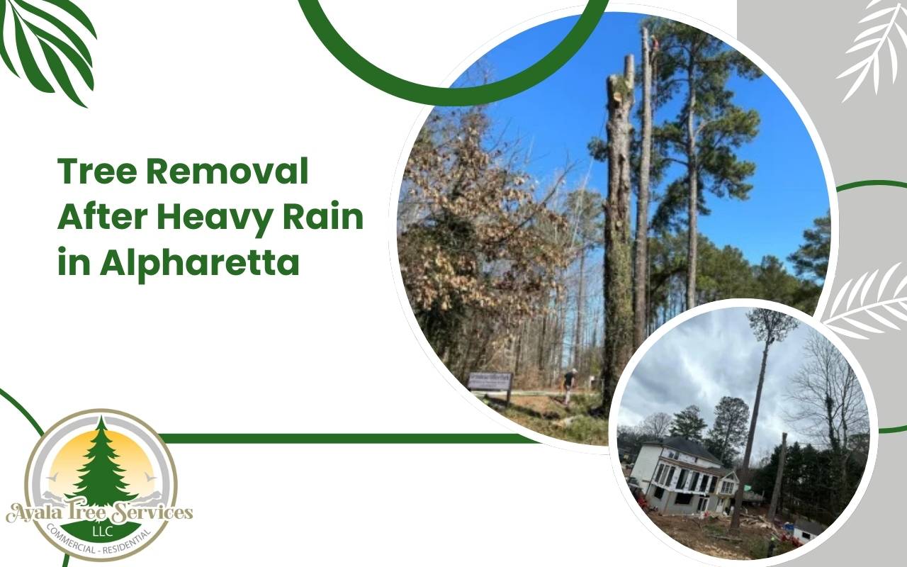 Tree removal after heavy rain in Alpharetta neighborhood