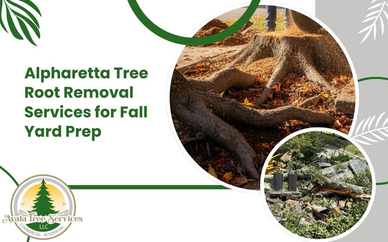 Technicians performing Alpharetta tree root removal services in a residential yard