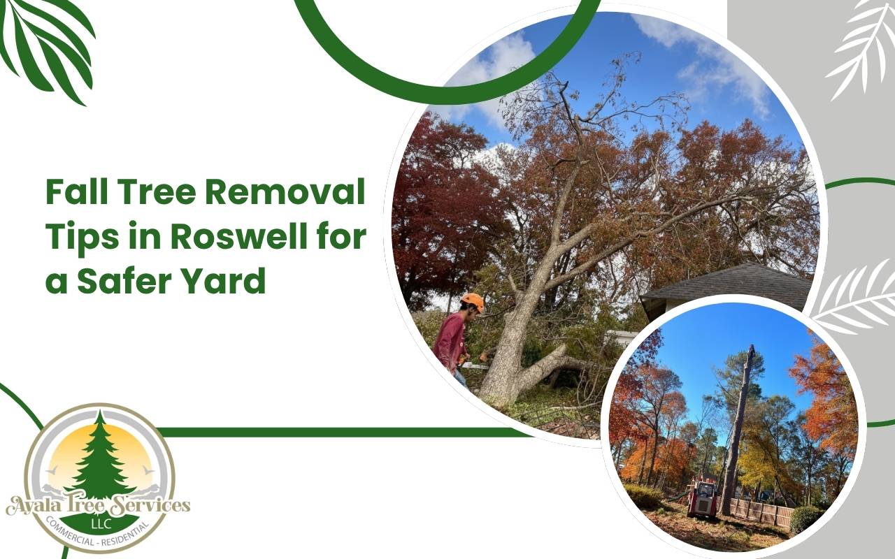 Certified arborists performing professional tree removal in Roswell to ensure property safety during fall