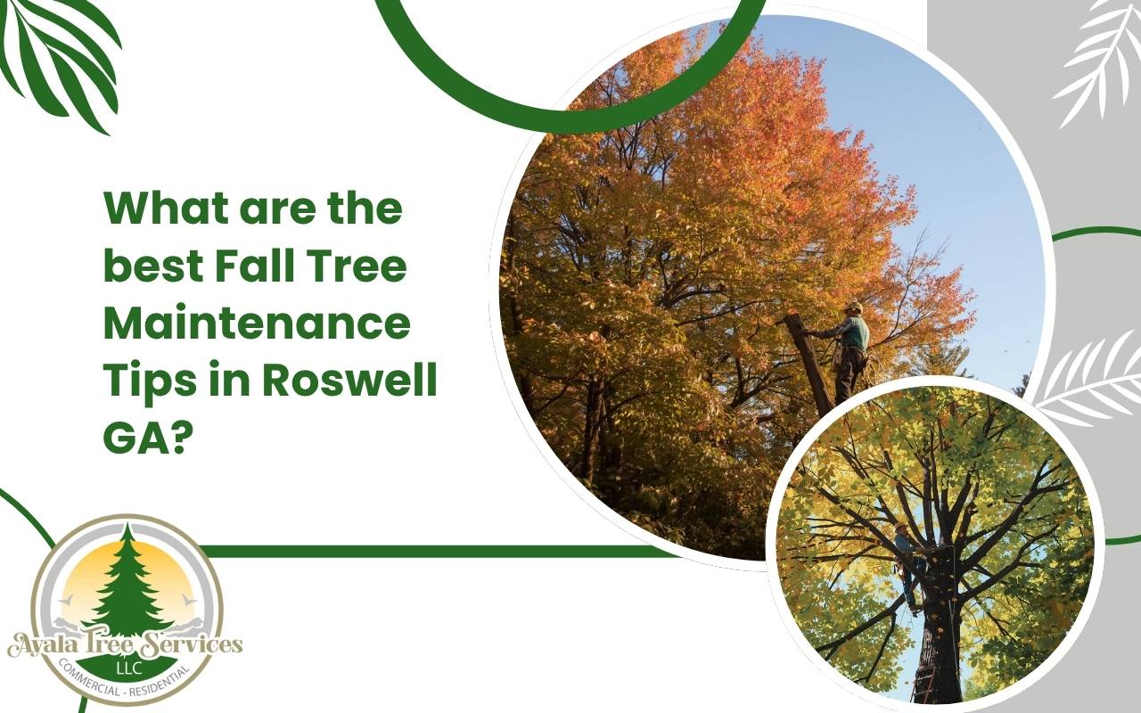 Fall tree pruning in Roswell GA for healthy branches