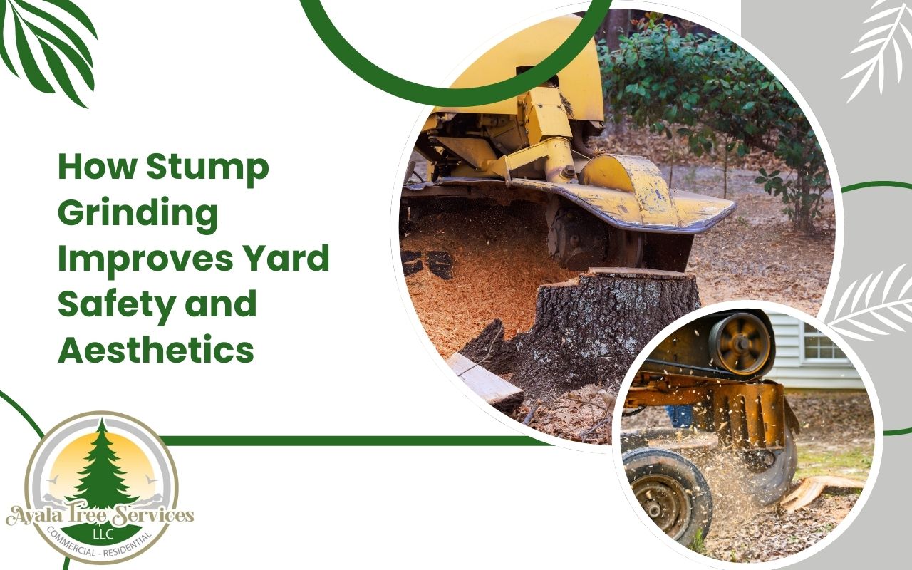 Backyard before and after showing how stump grinding improves yard safety and aesthetics.