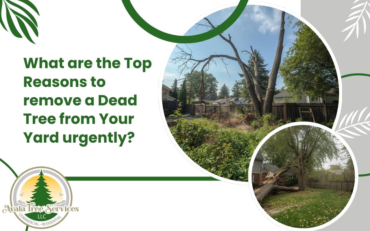 Professional tree removal Roswell GA service in action