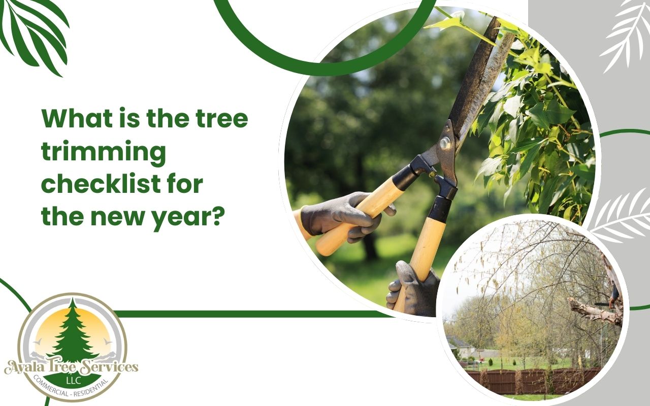 Homeowner using a Tree Trimming Checklist for the New Year to inspect backyard trees in Roswell, GA.