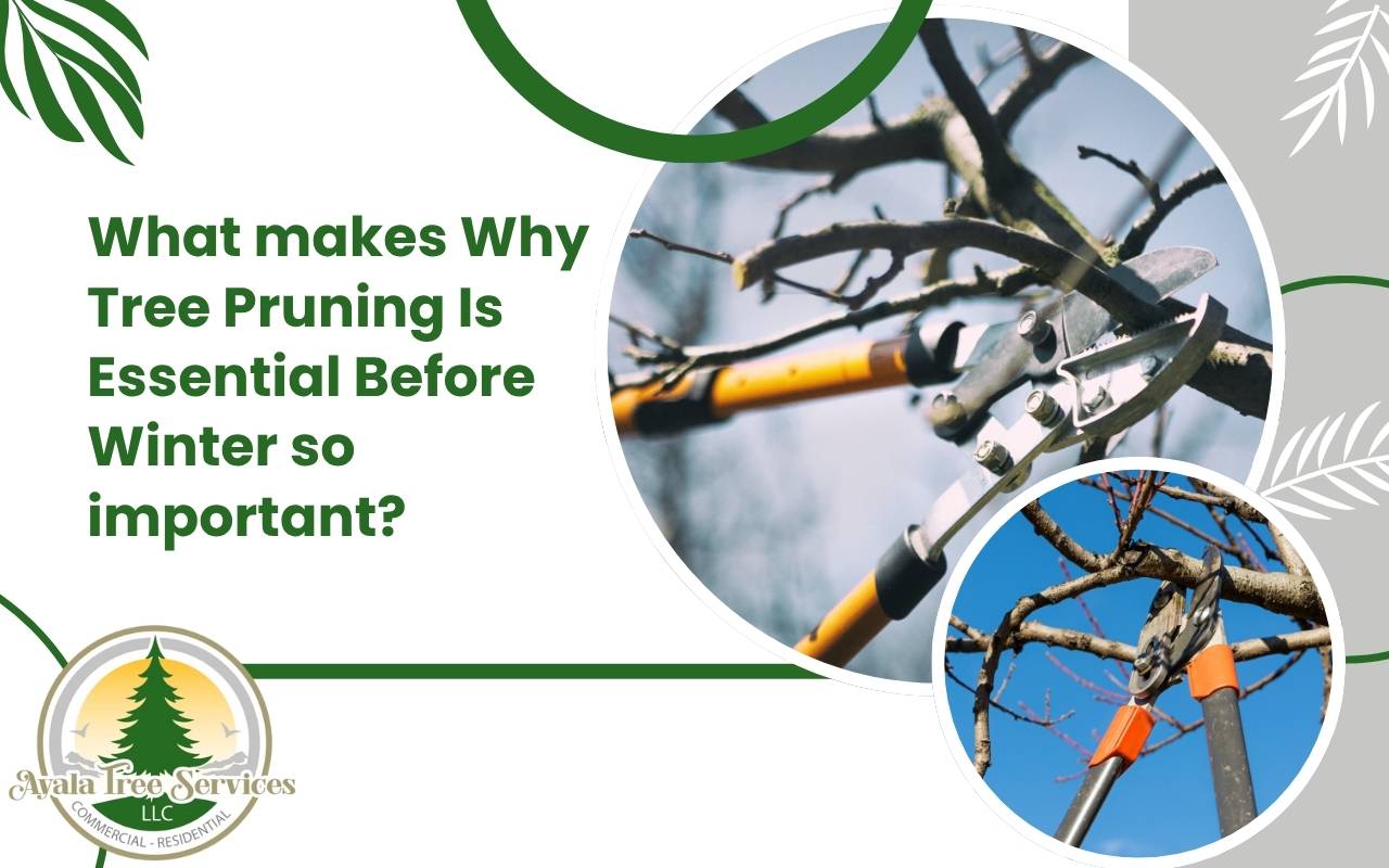 Tree pruning in Roswell GA before winter season