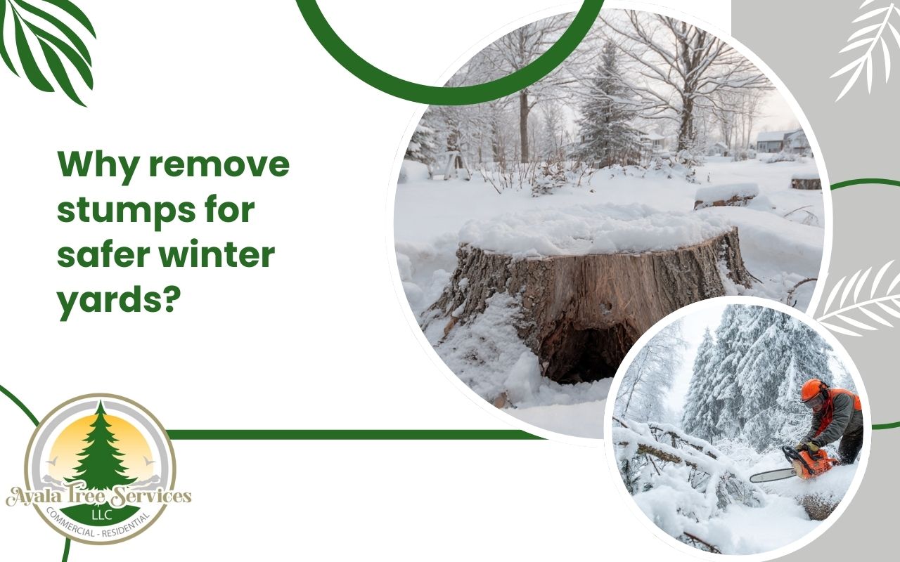 Winter Yard Safety with Stump Removal by clearing hidden stumps under snow