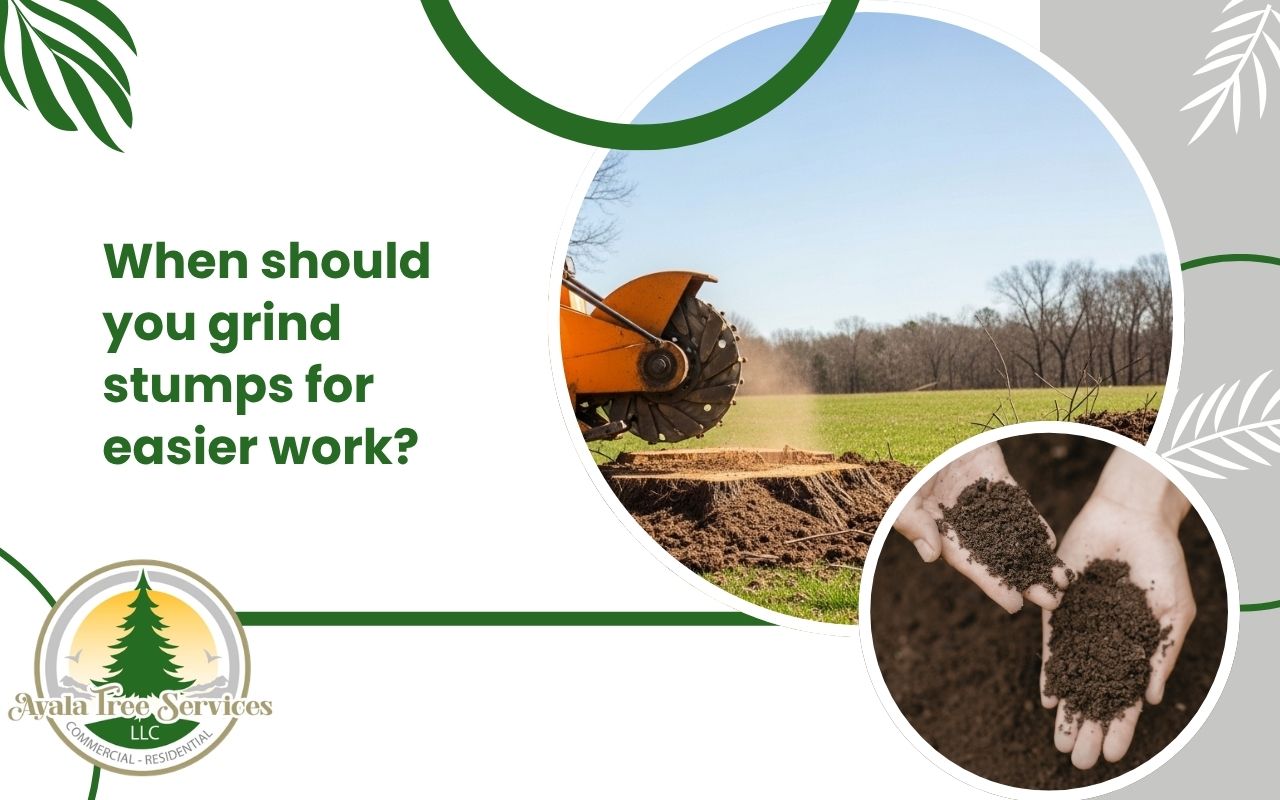 best time to grind stumps in Georgia during soft spring soil