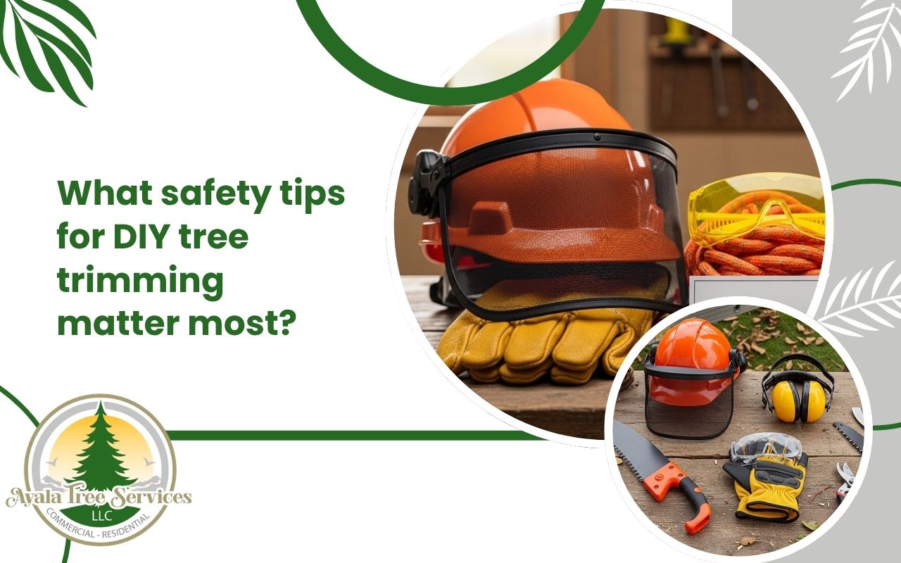 safe tools used in safety tips for DIY tree trimming