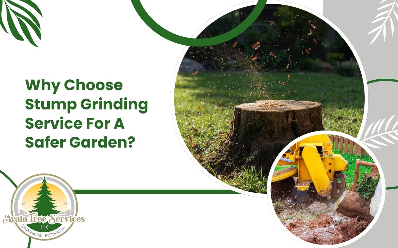 stump grinding service clearing an old stump from a garden
