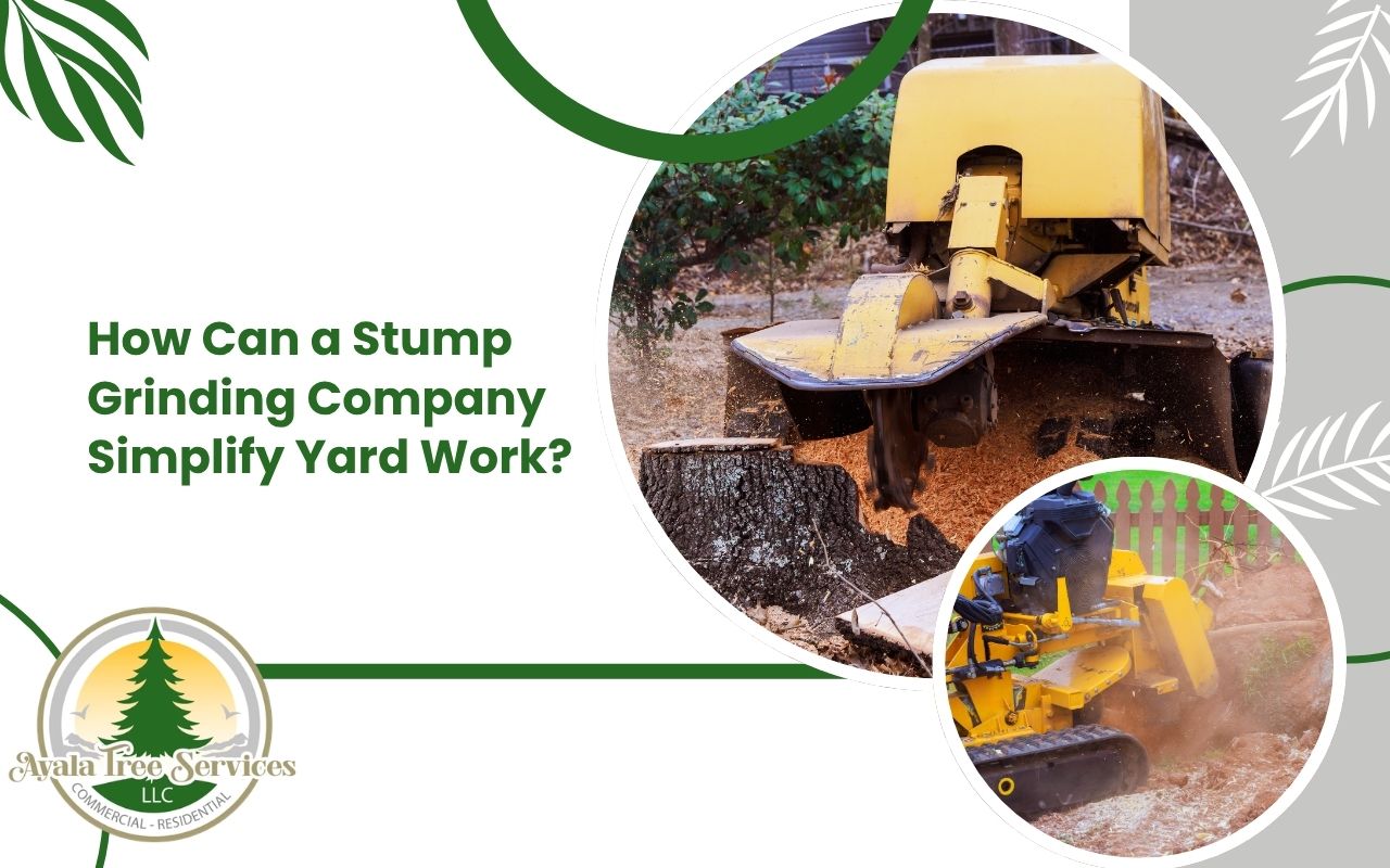 stump grinding company clearing a yard after stump removal