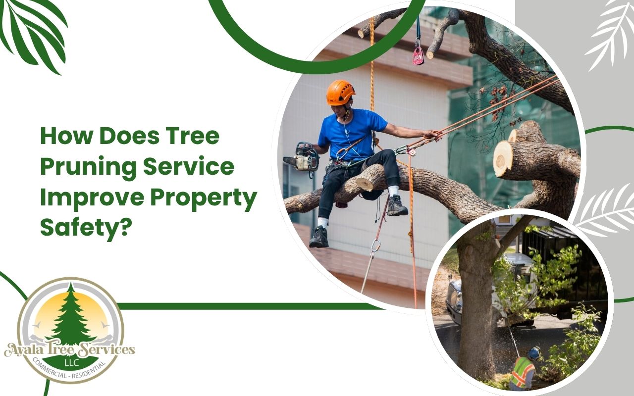 tree pruning service improving safety on commercial property