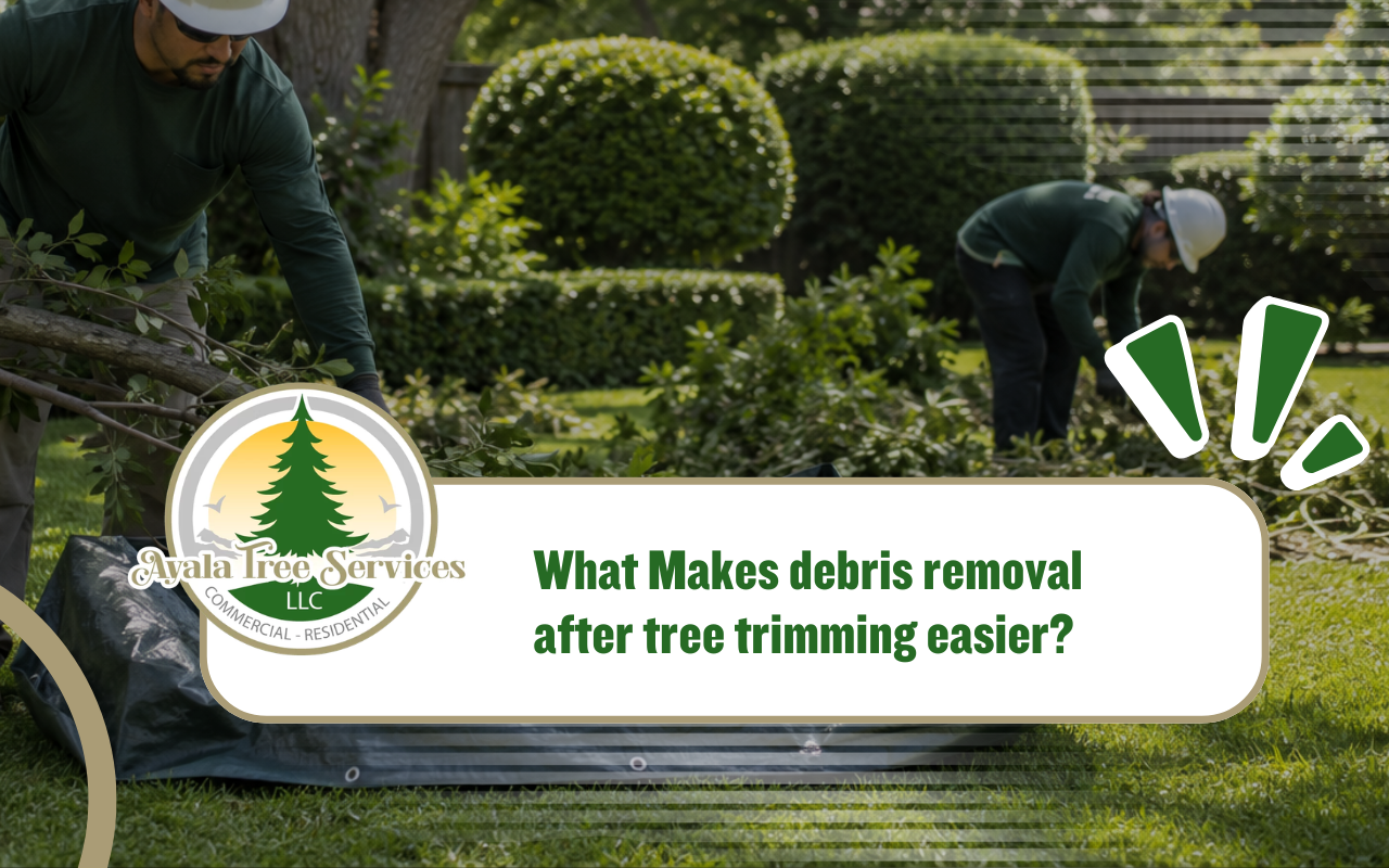 debris removal after tree trimming in a clean residential yard
